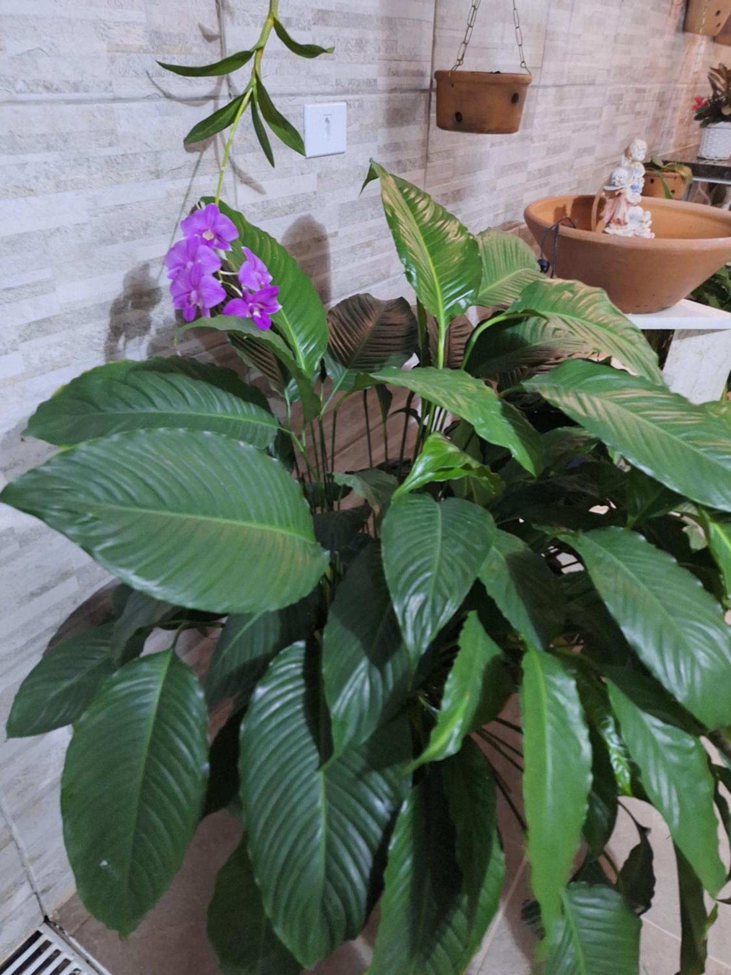 Cantinho Da Paz Niteroi Room photo